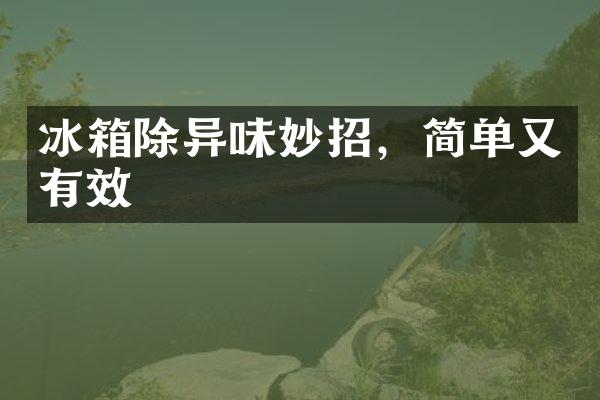 冰箱除异味妙招，简单又有效