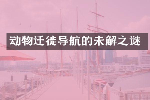 动物迁徙导航的未解之谜