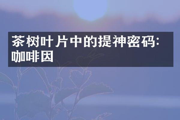 茶树叶片中的提神密码：咖啡因