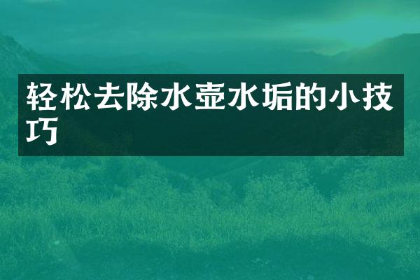 轻松去除水壶水垢的小技巧