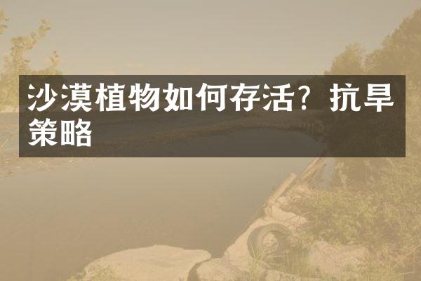 沙漠植物如何存活？抗旱策略