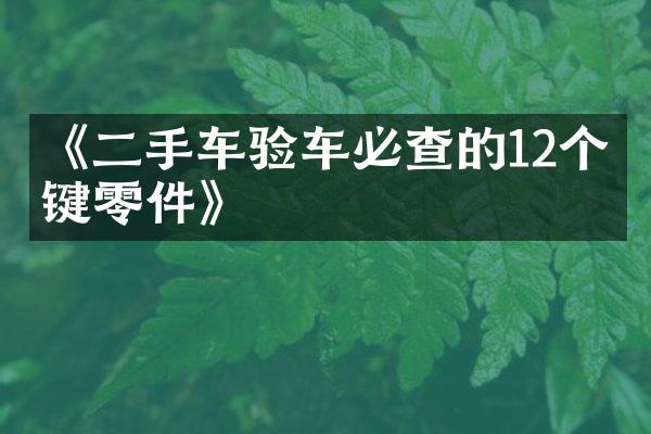 《二手车验车必查的12个关键零件》