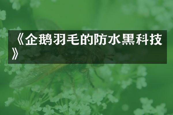 《企鹅羽毛的防水黑科技》
