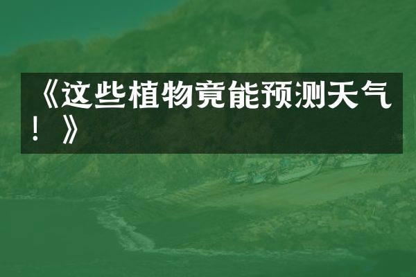 《这些植物竟能预测天气！》