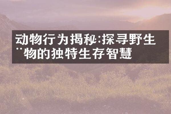 动物行为揭秘:探寻野生动物的独特生存智慧