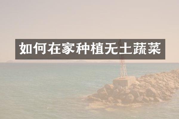如何在家种植无土蔬菜