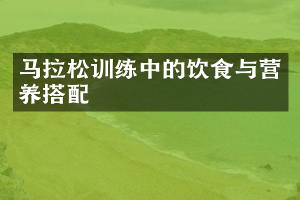 马拉松训练中的饮食与营养搭配