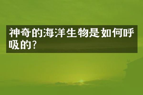 神奇的海洋生物是如何呼吸的？
