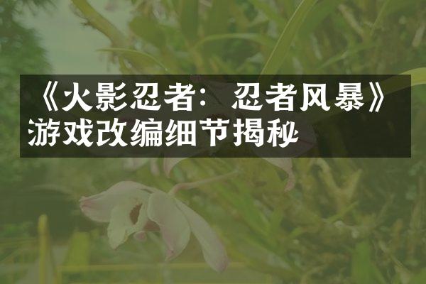 《火影忍者：忍者风暴》游戏改编细节揭秘