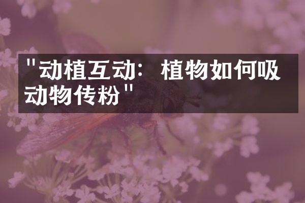 "动植互动：植物如何吸引动物传粉"