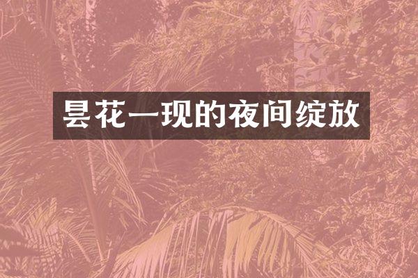昙花一现的夜间绽放