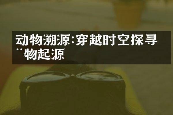 动物溯源:穿越时空探寻动物起源