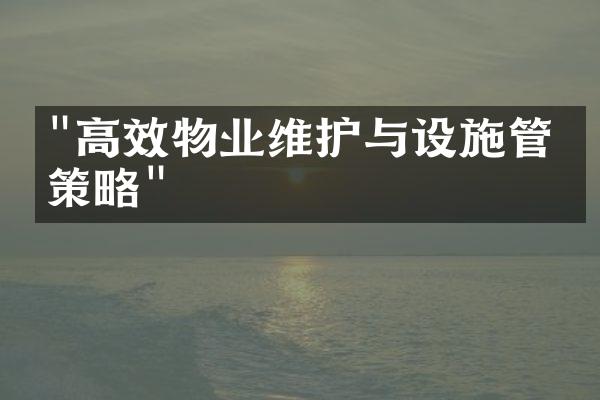 "高效物业维护与设施管理策略"