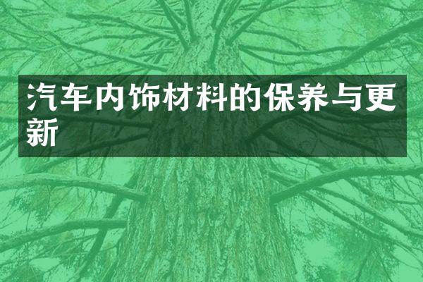 汽车内饰材料的保养与更新