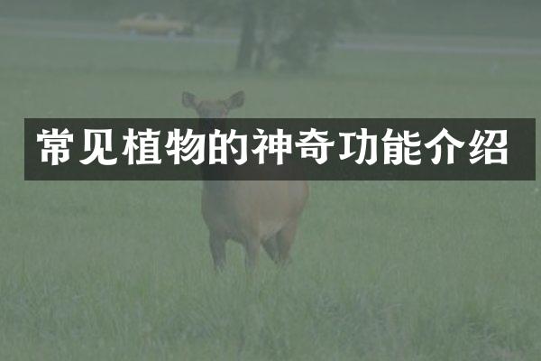 常见植物的神奇功能介绍