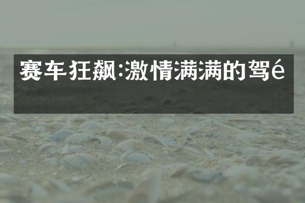 赛车狂飙:激情满满的驾驶