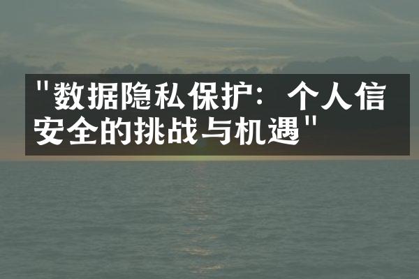 "数据隐私保护：个人信息安全的挑战与机遇"