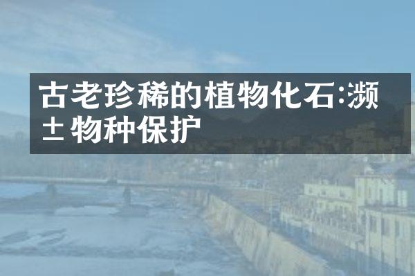 古老珍稀的植物化石:濒危物种保护