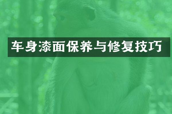 车身漆面保养与修复技巧