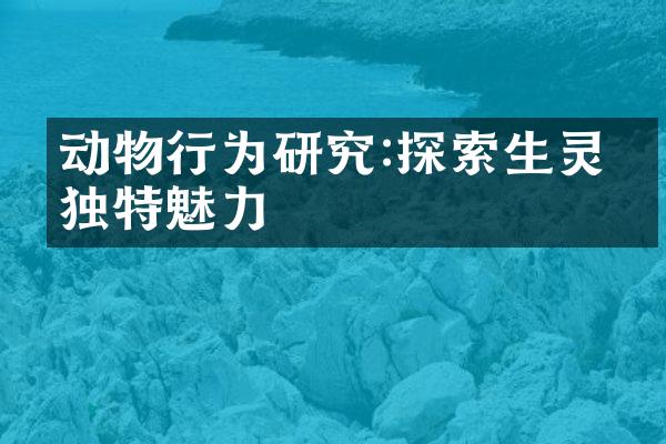 动物行为研究:探索生灵的独特魅力