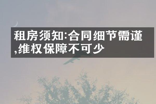 租房须知:合同细节需谨慎,维权保障不可少