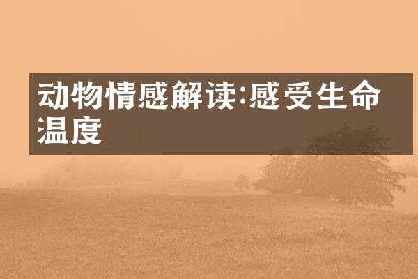 动物情感解读:感受生命的温度