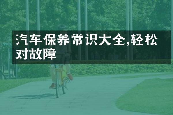 汽车保养常识大全,轻松应对故障