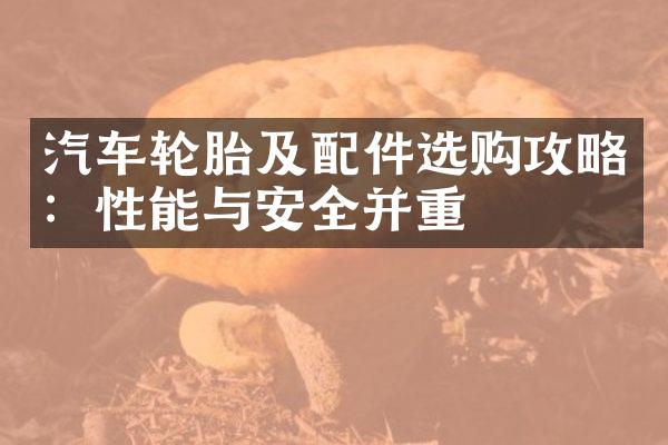 汽车轮胎及配件选购攻略：性能与安全并重