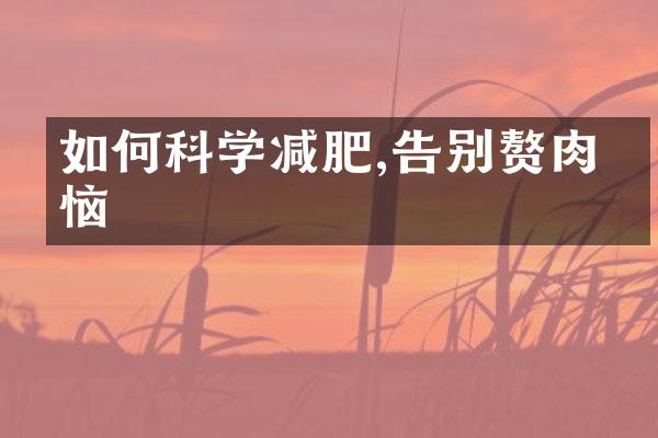 如何科学减肥,告别赘肉烦恼
