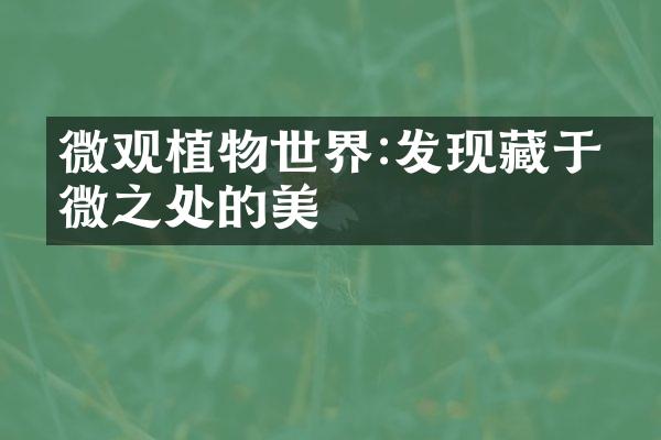 微观植物世界:发现藏于细微之处的美