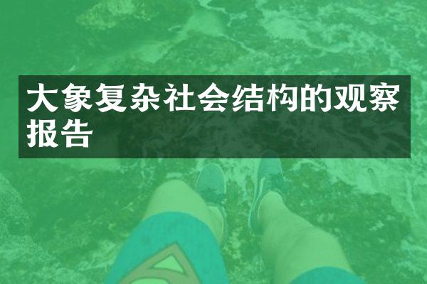 大象复杂社会结构的观察报告