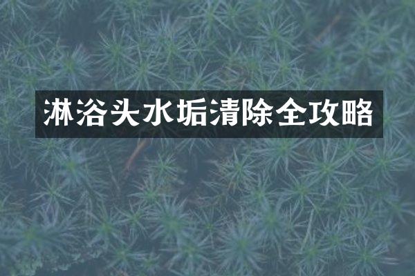 淋浴头水垢清除全攻略