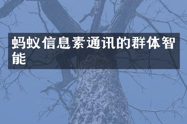 蚂蚁信息素通讯的群体智能