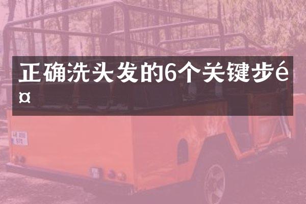 正确洗头发的6个关键步骤