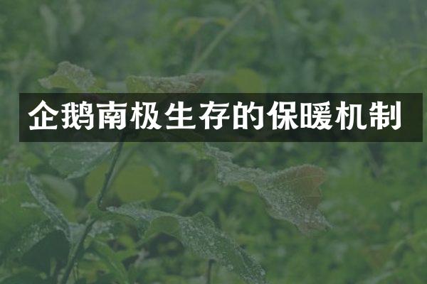 企鹅南极生存的保暖机制