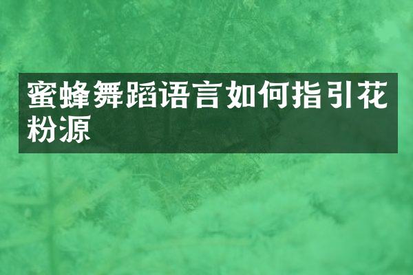 蜜蜂舞蹈语言如何指引花粉源