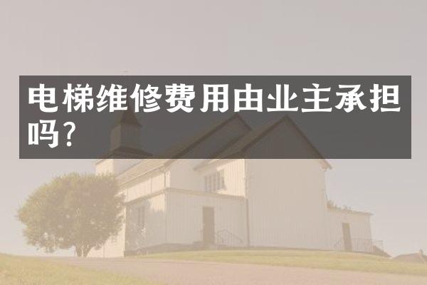 电梯维修费用由业主承担吗？