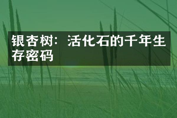 银杏树：活化石的千年生存密码