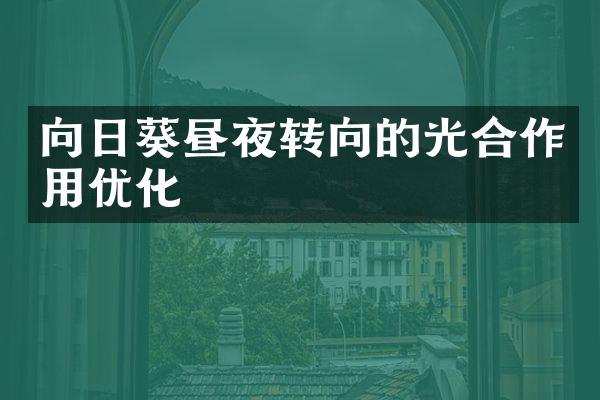 向日葵昼夜转向的光合作用优化