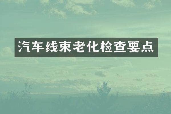 汽车线束老化检查要点