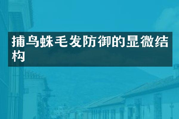 捕鸟蛛毛发防御的显微结构