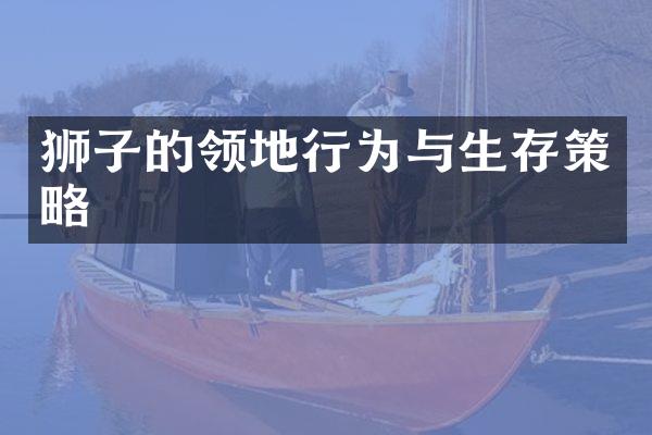 狮子的领地行为与生存策略