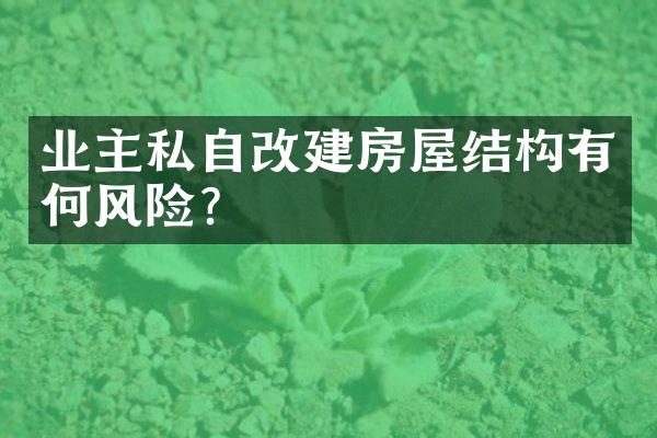 业主私自改建房屋结构有何风险？