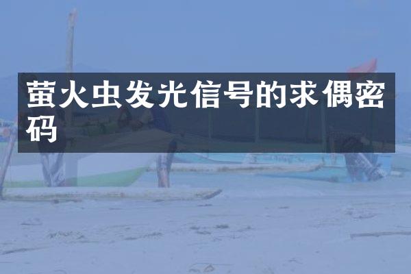 萤火虫发光信号的求偶密码