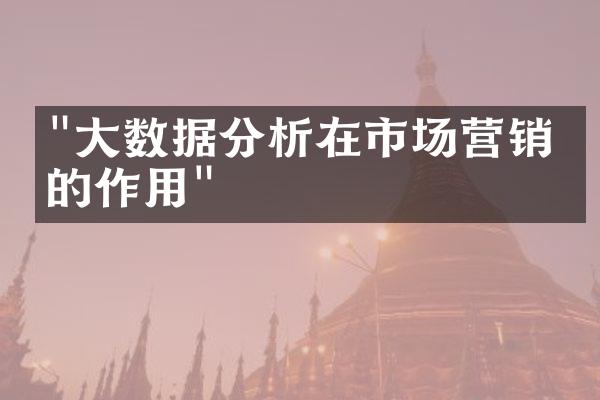 "大数据分析在市场营销中的作用"