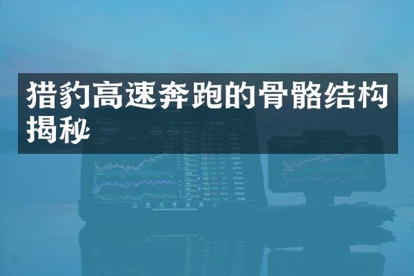 猎豹高速奔跑的骨骼结构揭秘