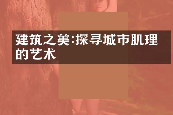 建筑之美:探寻城市肌理中的艺术