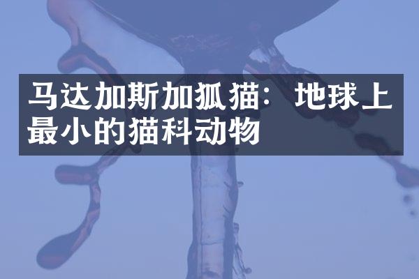 马达加斯加狐猫：地球上最小的猫科动物