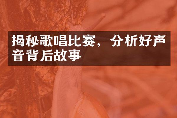 揭秘歌唱比赛，分析好声音背后故事