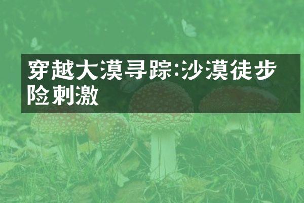 穿越大漠寻踪:沙漠徒步惊险刺激